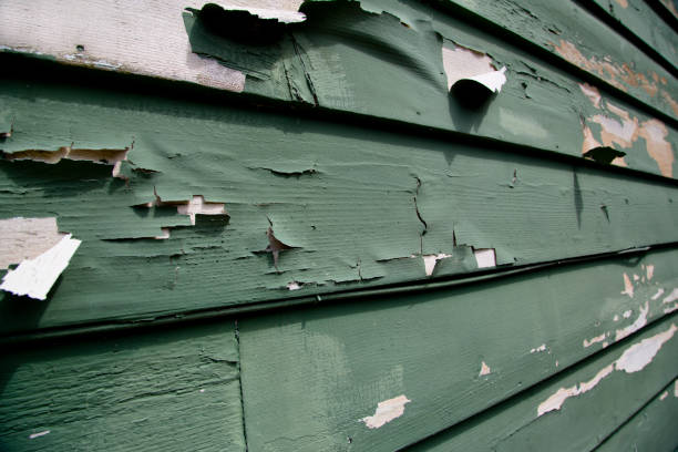 Best Construction Debris Removal  in Vandalia, MO